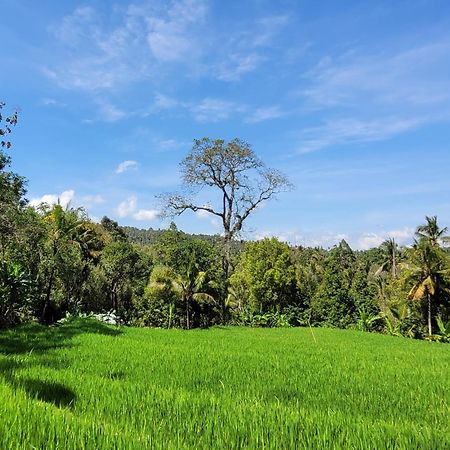 Apartamento Umah Yugadi Bali Munduk Exterior foto