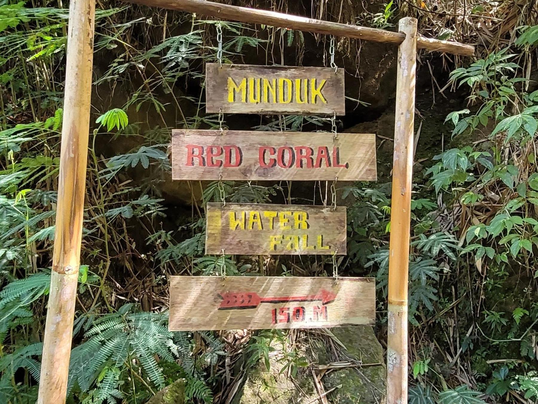 Apartamento Umah Yugadi Bali Munduk Exterior foto