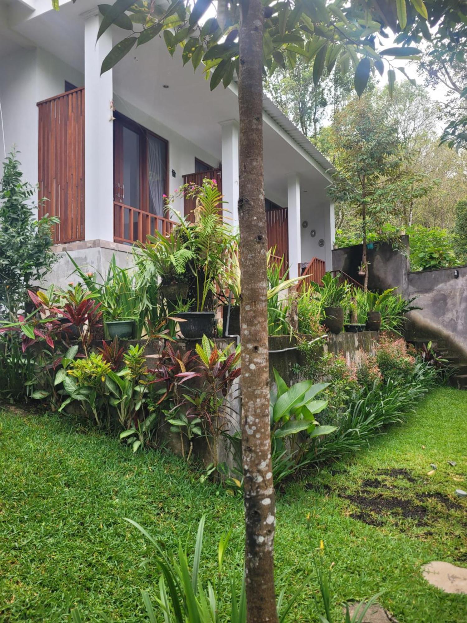Apartamento Umah Yugadi Bali Munduk Exterior foto